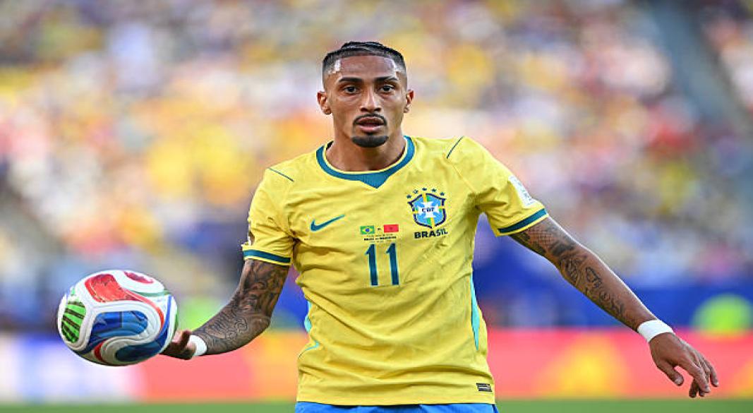 رافينيا