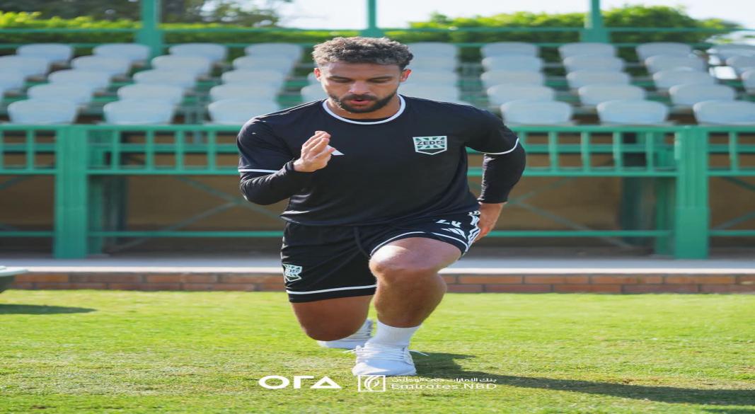زد