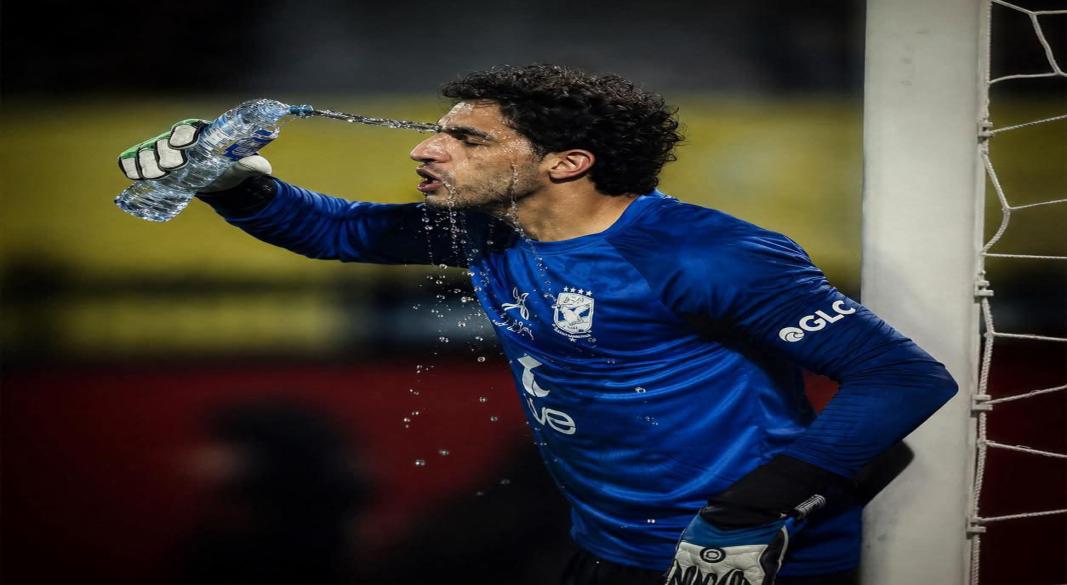 مصطفى شوبير