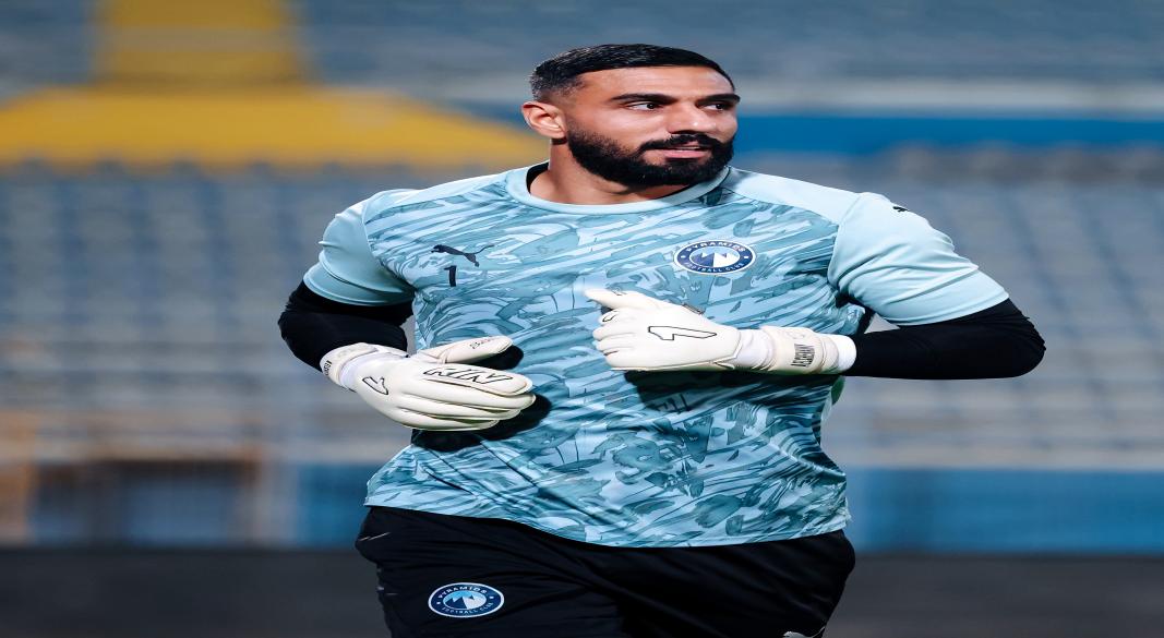 الشناوى
